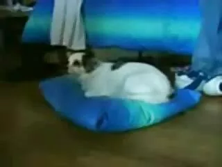 Un hombre con muchas peliculas anales completas chicas tocándose el pene