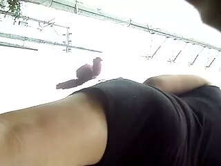 Jane Darling chupa peliculas completas online xxx la polla